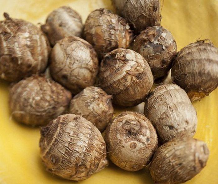 根莖類蔬菜簡介(一) 15種