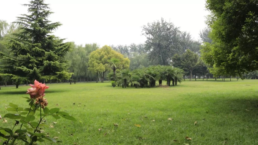 鄭州，向全國發出邀請