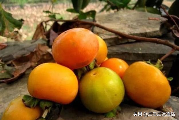 想去山西旅游嗎？那么就先了解山西有哪些最出名的特產吧