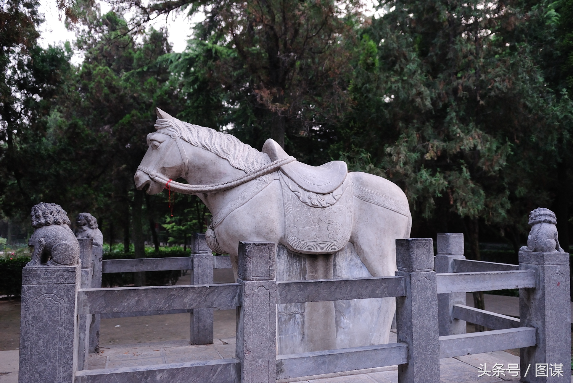 洛陽白馬寺的由來：比唐三藏還早的“西天取經”，同樣由白馬馱回