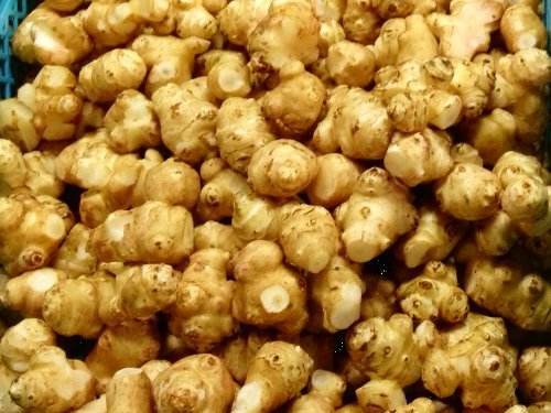 根莖類蔬菜簡介(一) 15種