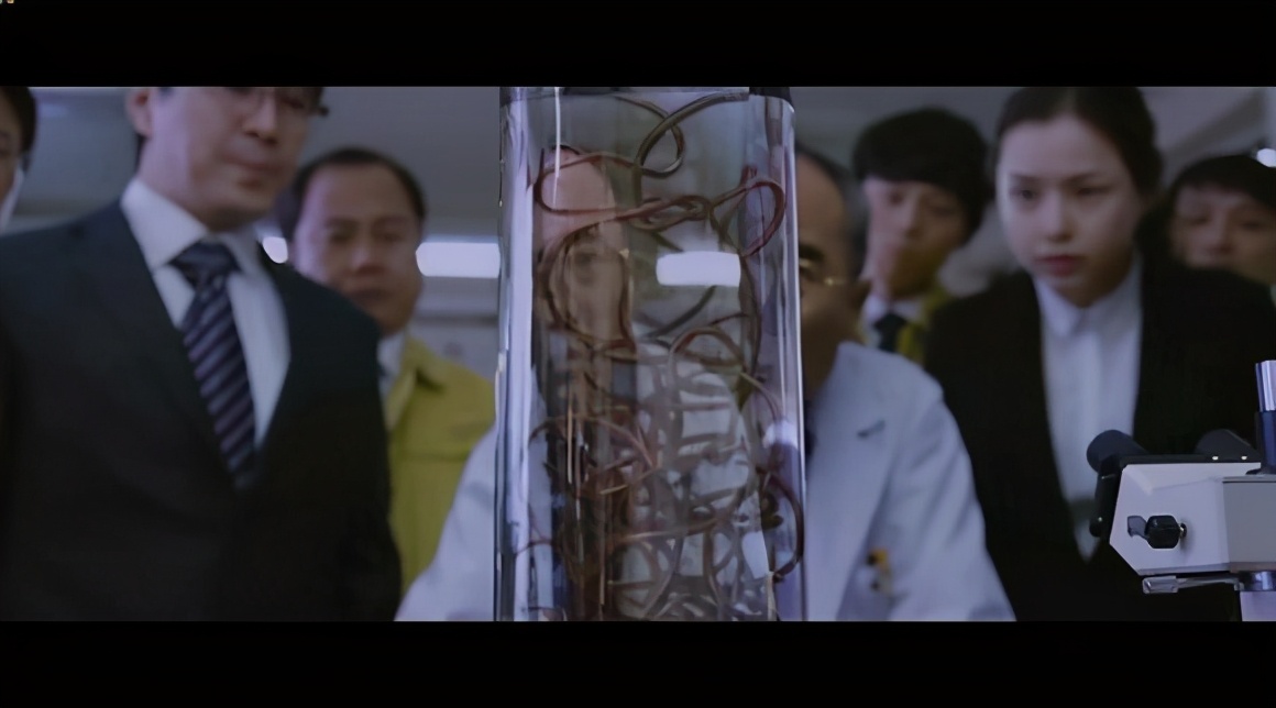 鐵線蟲：一種能操控螳螂“投水自殺”的生物，它能否操控人類？