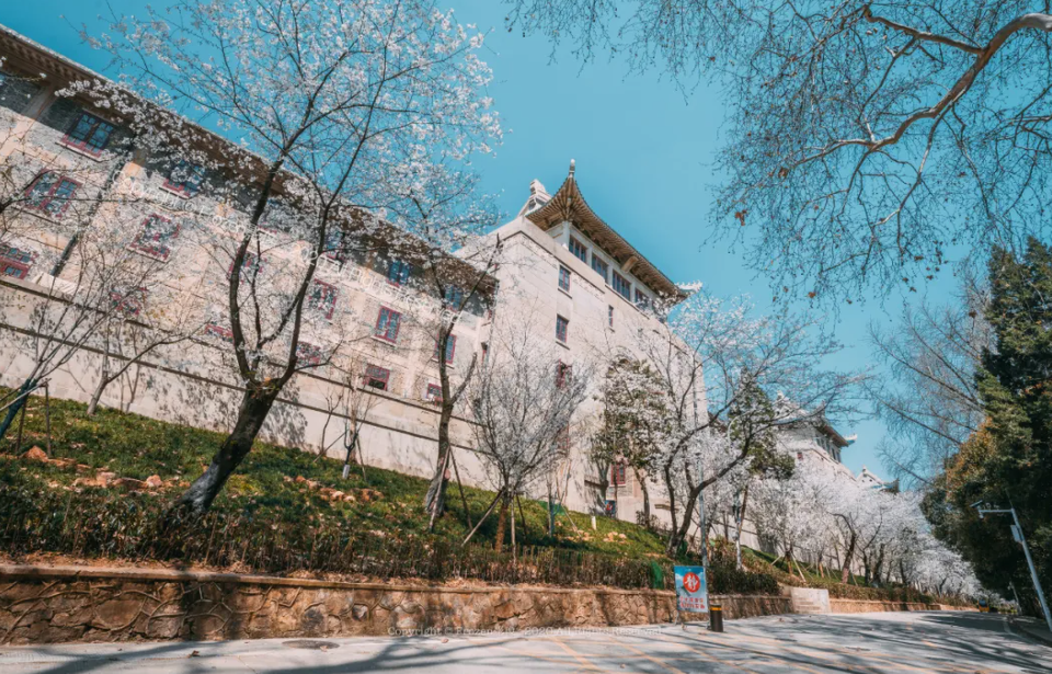 武漢有哪些知名大學？看完想重新再讀一次