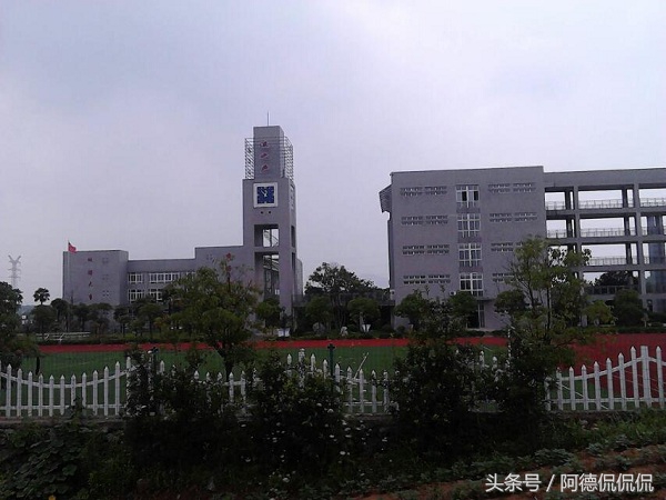 南京江寧區的中小學在這份榜單中是大贏家