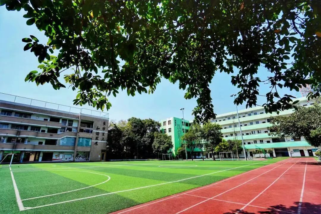 除了“五朵金花”,成都各個區還有哪些公辦小學值得考察