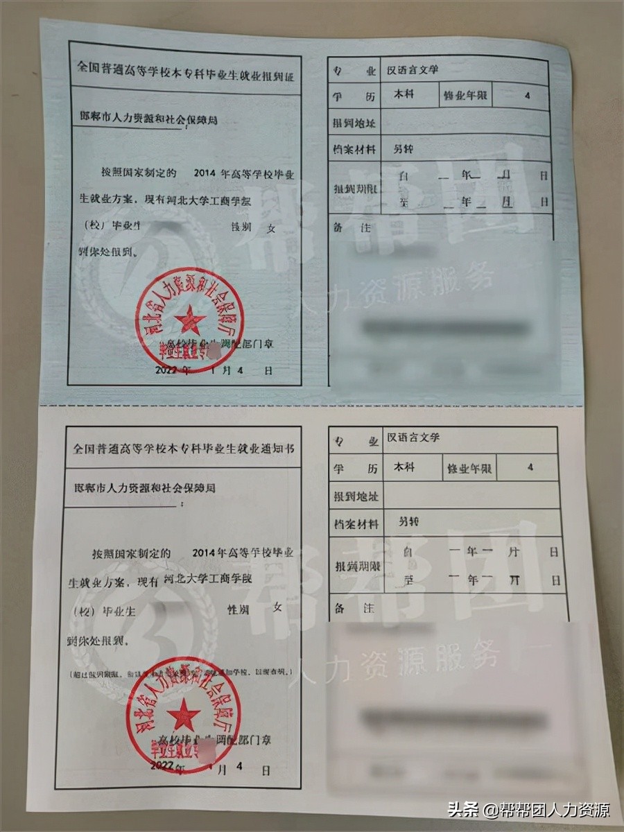 報到證丟了怎么辦