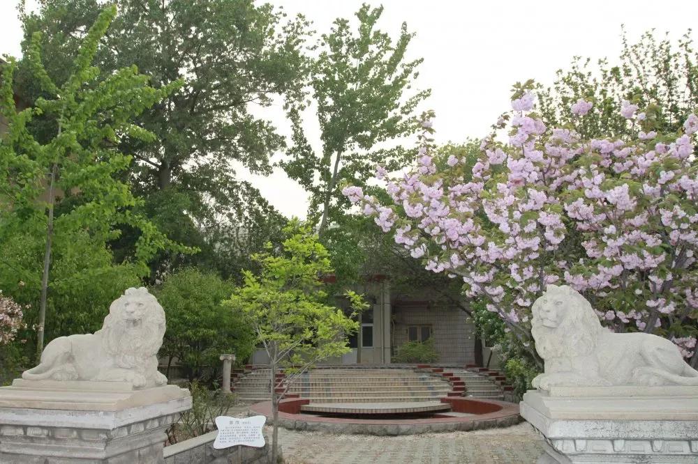 天津市普通高級中學（十五）天津市第七中學