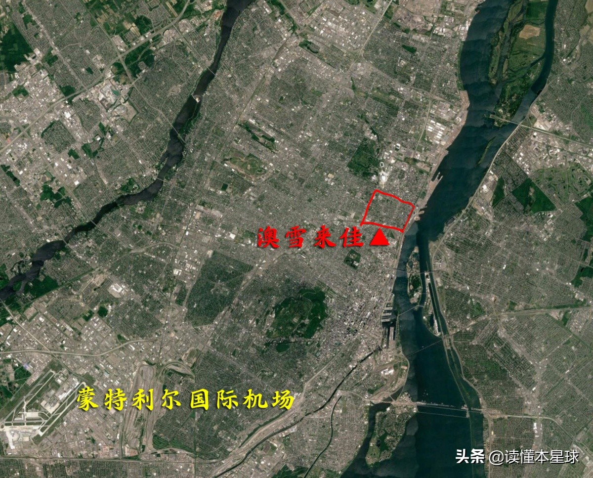 加拿大的法定象征性動物為何是河貍？