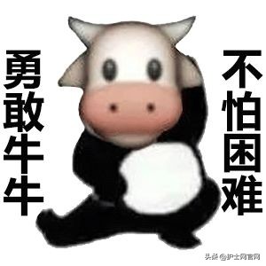 多地疫情爆發，2022年護考或將取消