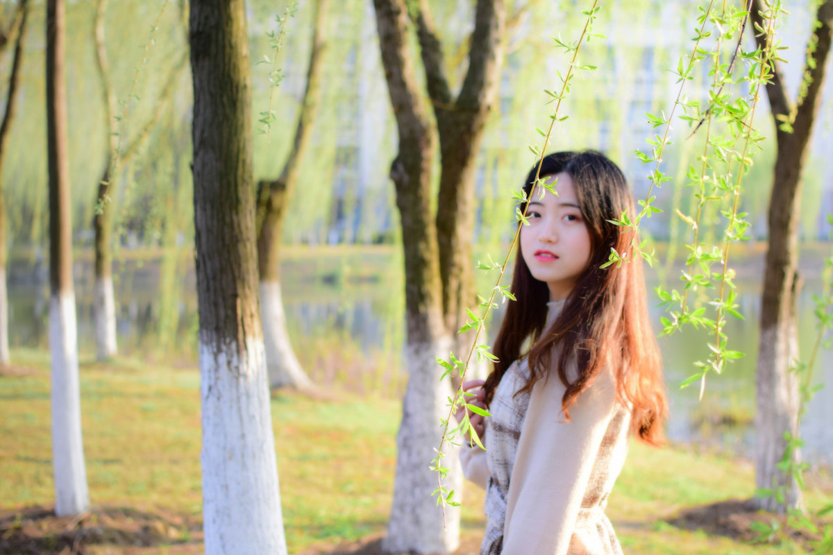 散文精選：不負春光，不負你