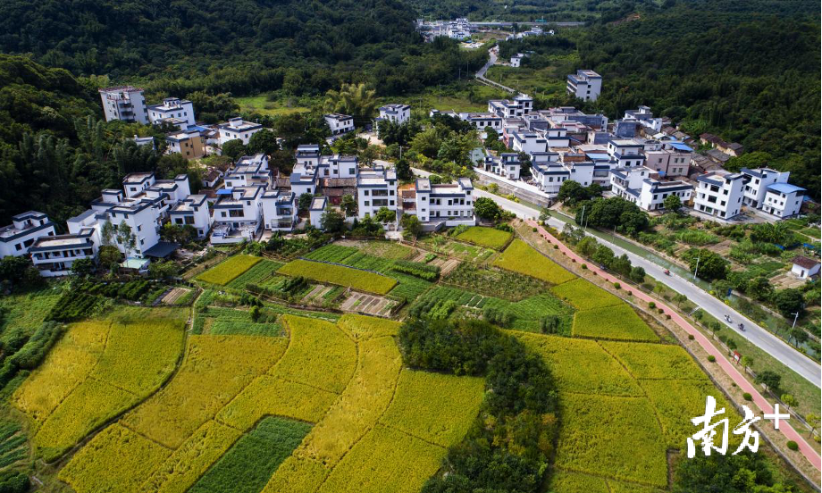 元旦假期去哪兒？廣州從化十大打卡點來啦