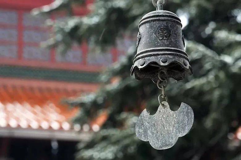徑山最美春日已上線！采茶踏青、遛娃拍照一站式搞定