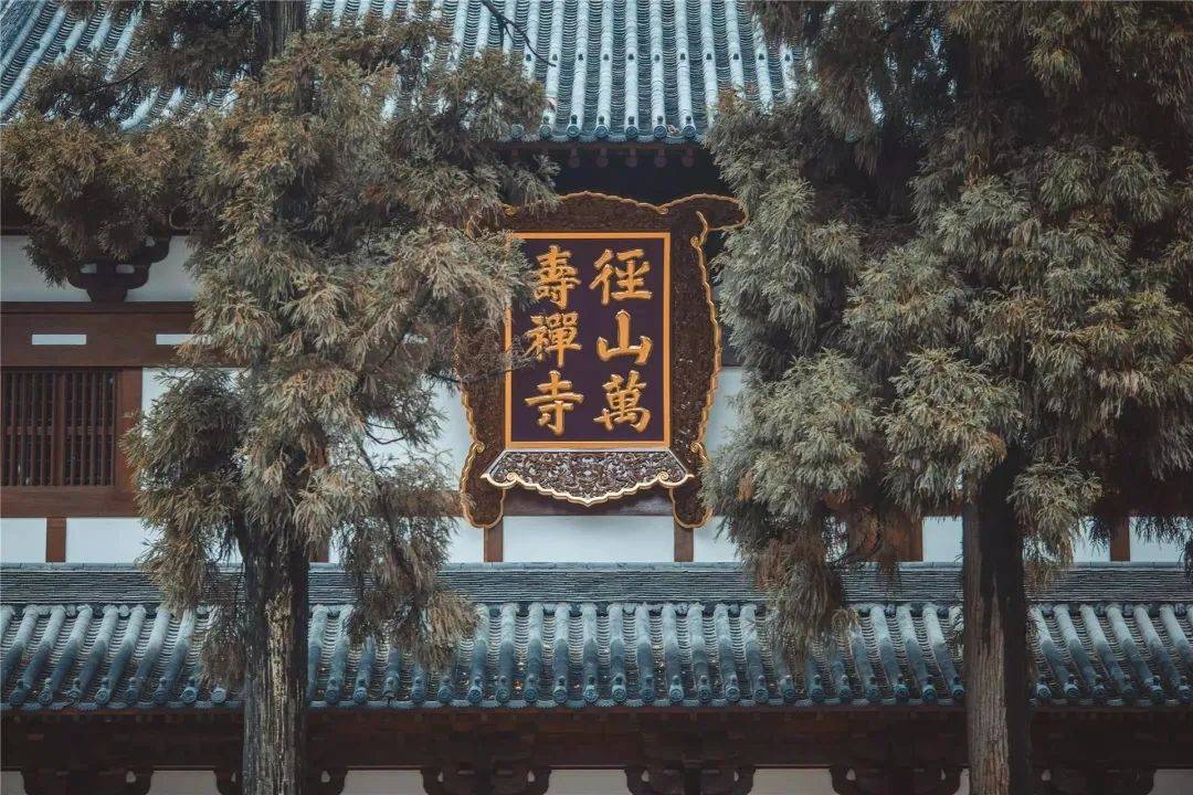 徑山最美春日已上線！采茶踏青、遛娃拍照一站式搞定