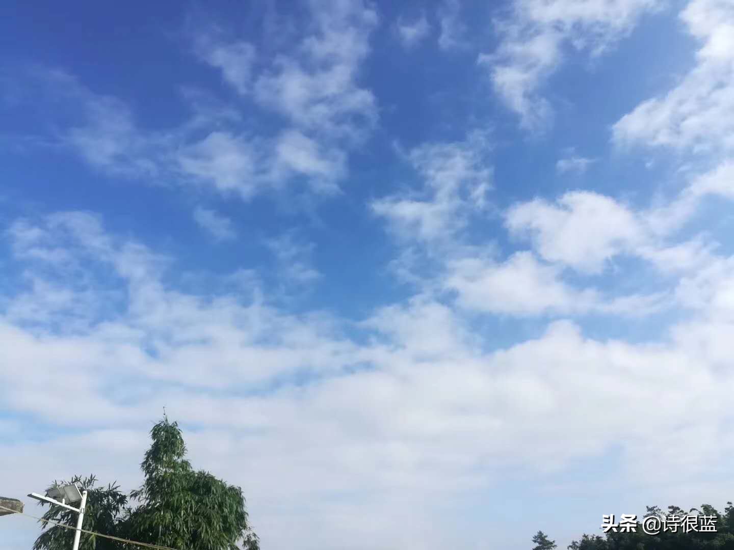 如何備考普通話考試呢？普通話考試內容有哪些？流程是怎么樣的呢