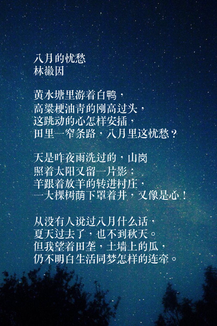 一代才女林徽因最美十首詩，智慧與才華并存，她是最美人間四月天