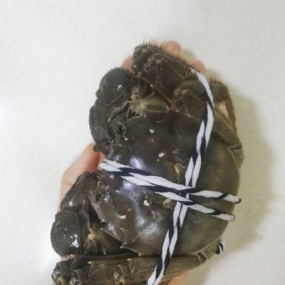 #福氣年夜菜#「清蒸陽澄湖大閘蟹」鮮美湖鮮季