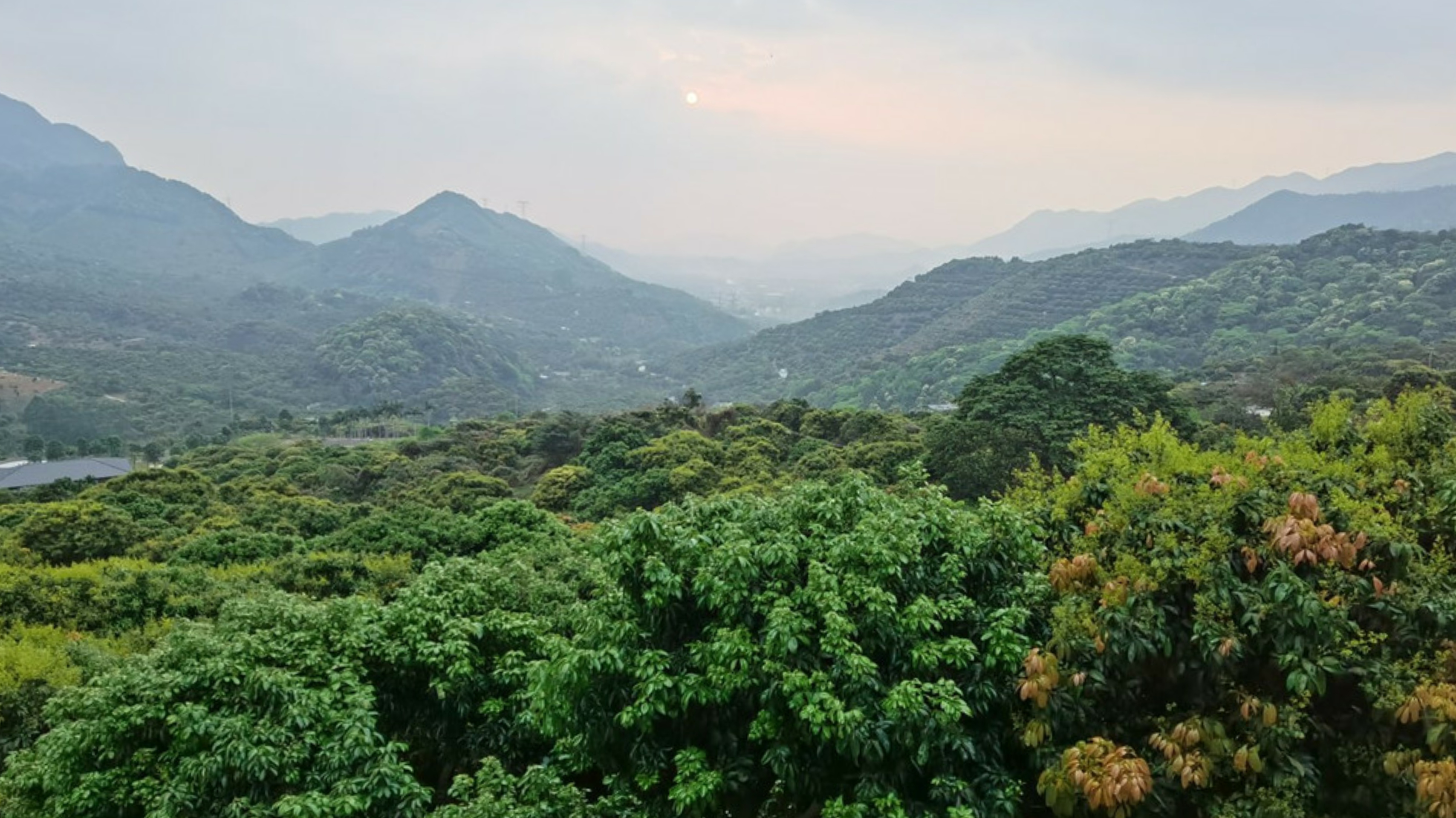廣東“小香山”石門森林公園楓葉快紅了，民宿也找好了，先收藏吧