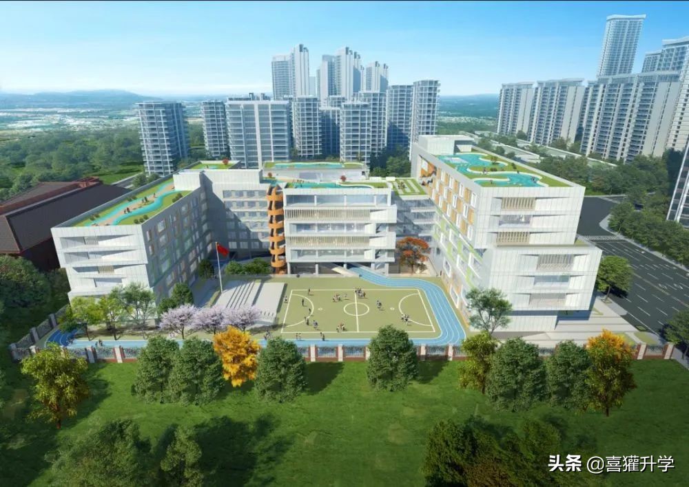 私立引領，新校擔當，“蓉e升學”天府新區優質小學大盤點