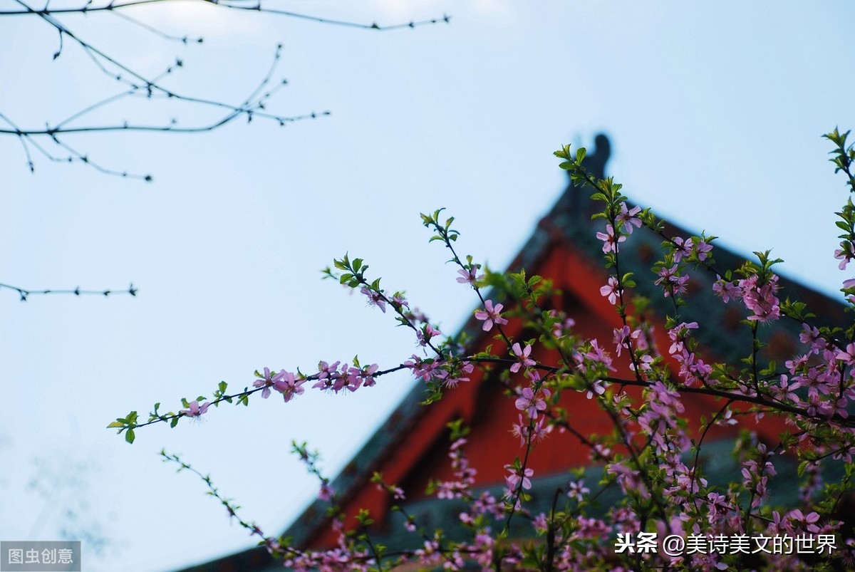 李清照出神入化之作,寫在錦帕上句句是千古名句,丈夫不知怎么回