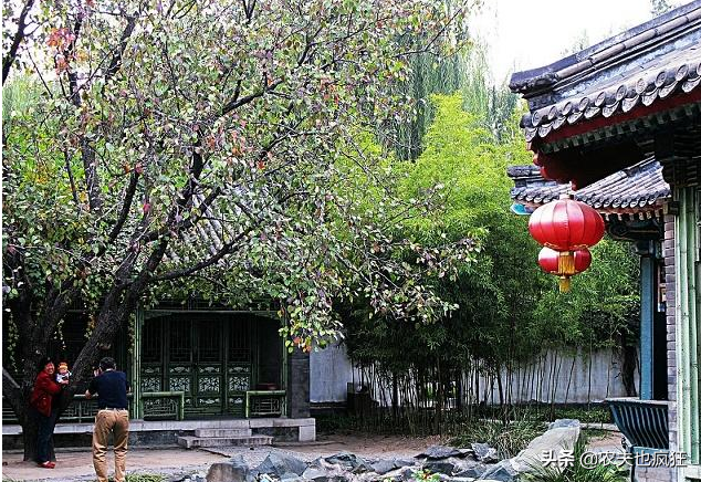 “三九四九凍死老狗”，哪個“九”最冷？春節冷不冷？答案來了