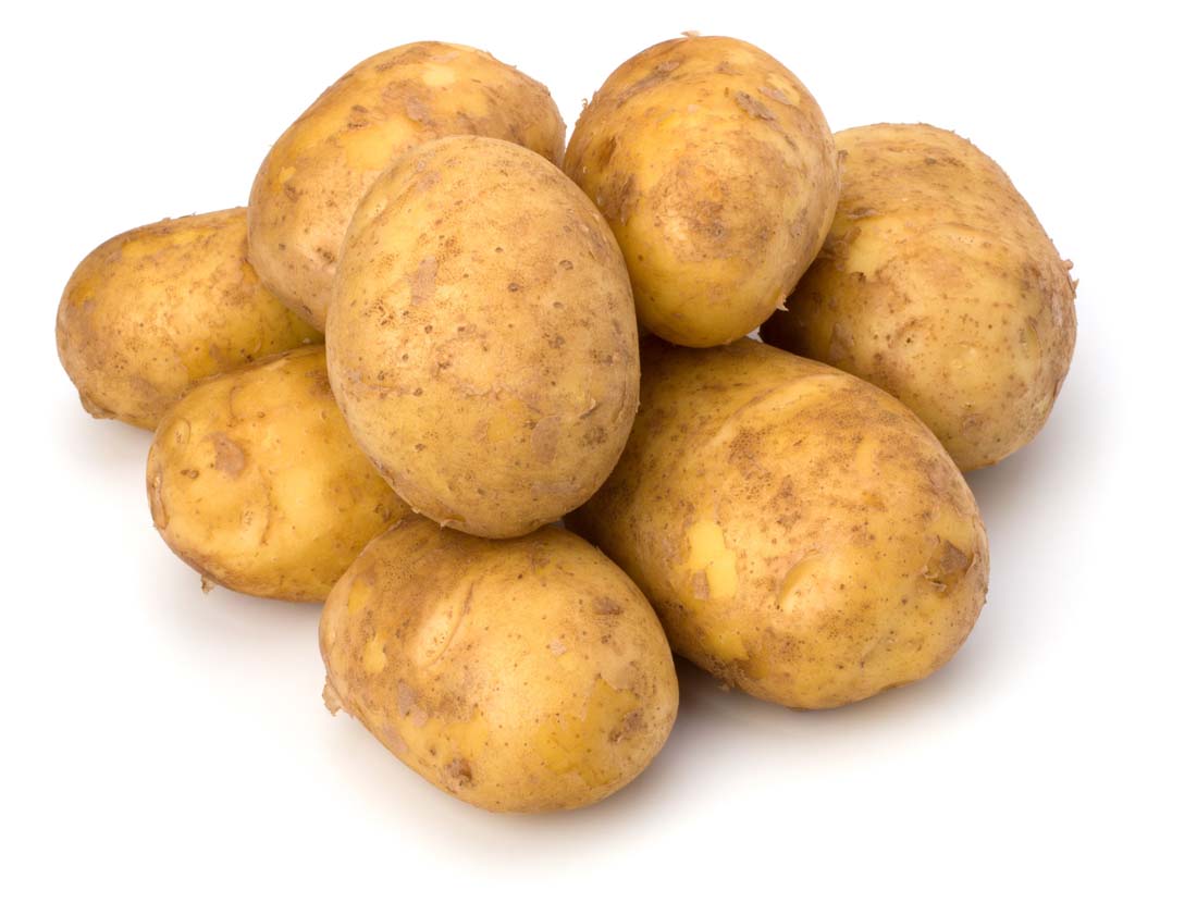 根莖類蔬菜簡介(一) 15種