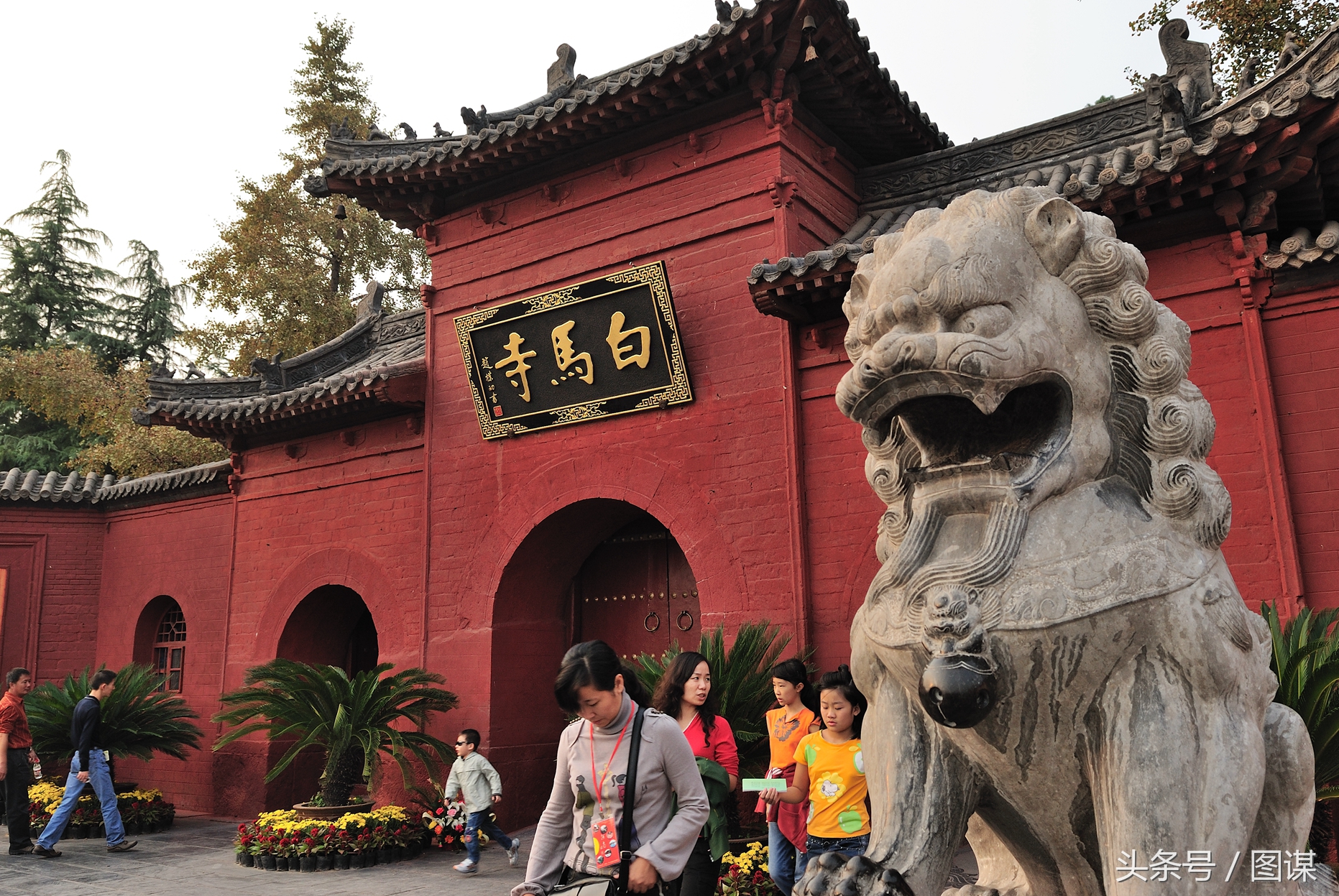 洛陽白馬寺的由來：比唐三藏還早的“西天取經”，同樣由白馬馱回