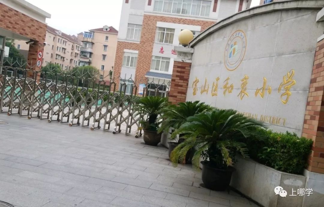 上海市寶山區90所小學全盤點！世外、華二等名校紛紛入駐