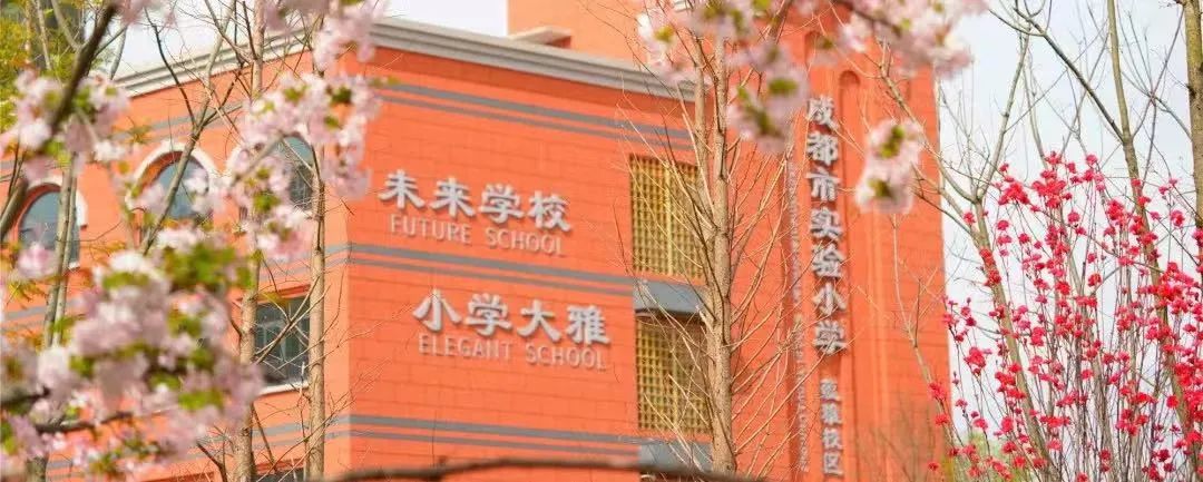 除了“五朵金花”,成都各個區還有哪些公辦小學值得考察