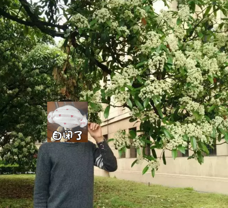 武漢有哪些知名大學？看完想重新再讀一次