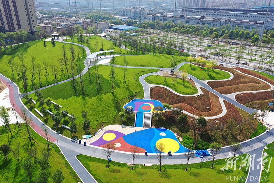 長沙龍華公園美麗綻放