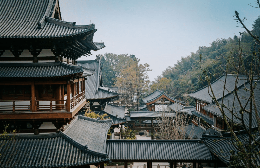 徑山最美春日已上線！采茶踏青、遛娃拍照一站式搞定