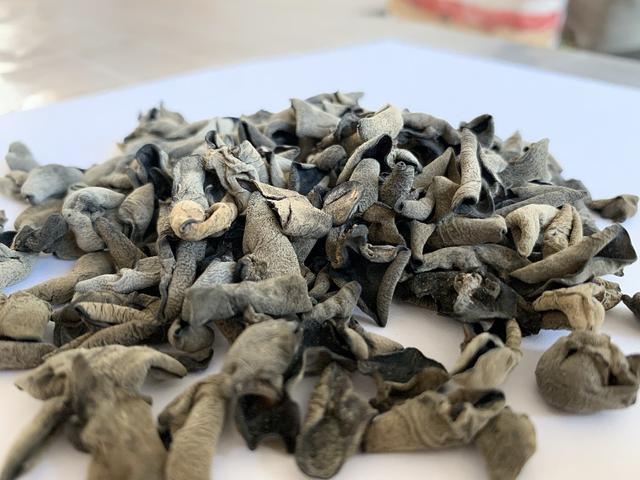 泡木耳，到底用涼水還是熱水？大廚教你正確做法，泡得又快又干凈