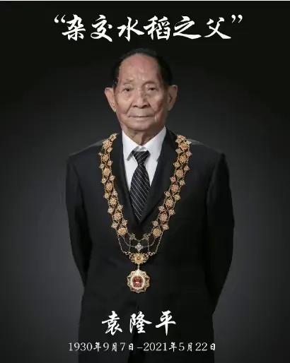 今天5月22日，袁隆平爺爺去逝1周年：當風吹過稻田，我又想起您了