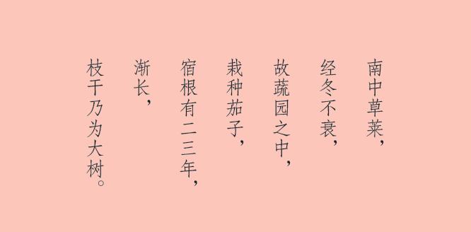 蔬菜知多少 | 茄子為什么會有“落蘇”這么好聽的別名？