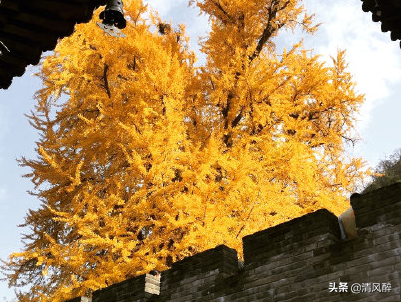安慰失戀人的句子溫暖走心