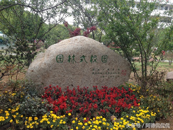南京江寧區的中小學在這份榜單中是大贏家