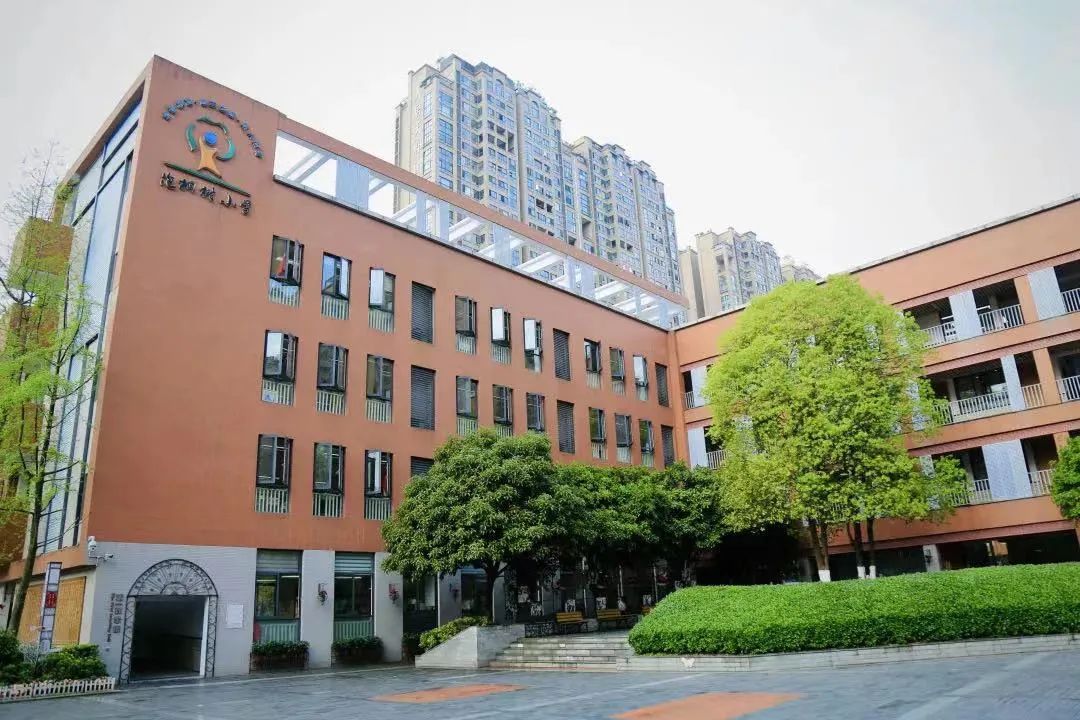 除了“五朵金花”,成都各個區還有哪些公辦小學值得考察