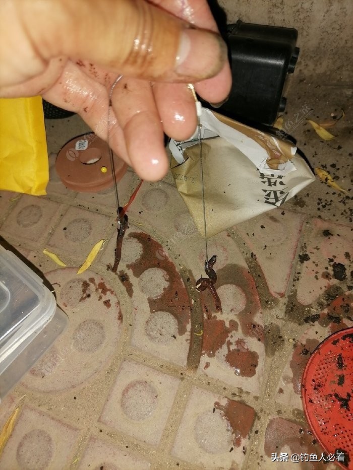 淺談自己釣鯰魚的一點經驗
