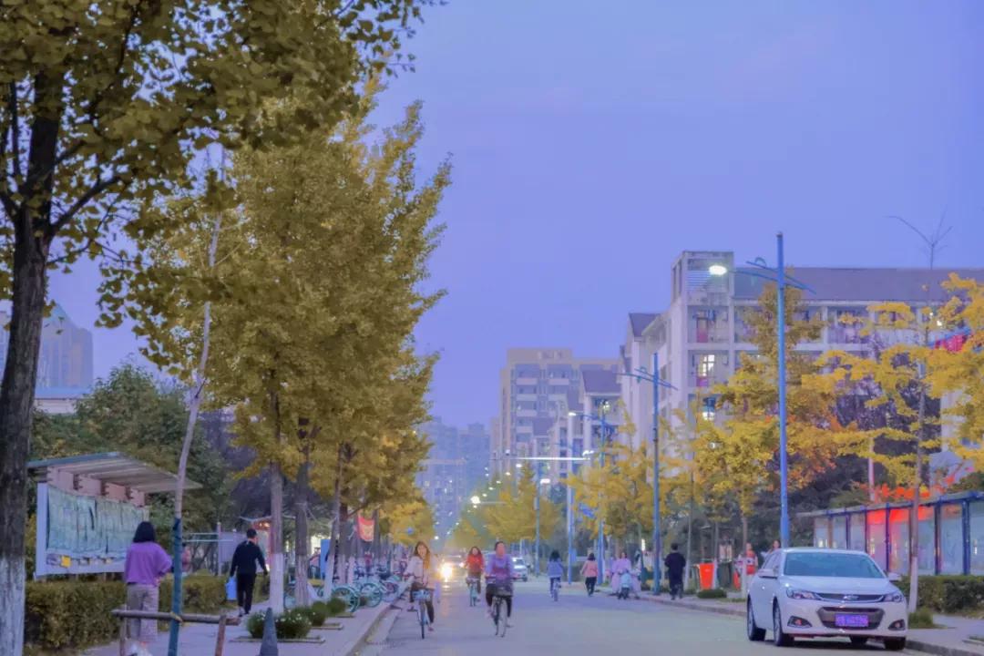 安徽省高校（四）安徽師范大學