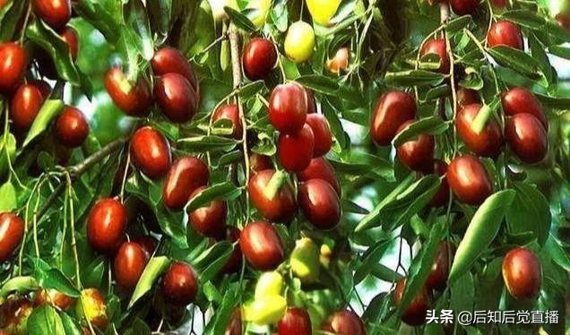 想去山西旅游嗎？那么就先了解山西有哪些最出名的特產吧