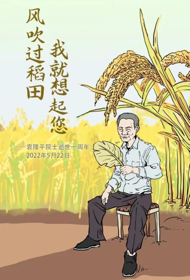 今天5月22日，袁隆平爺爺去逝1周年：當風吹過稻田，我又想起您了