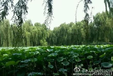 北京圓明園