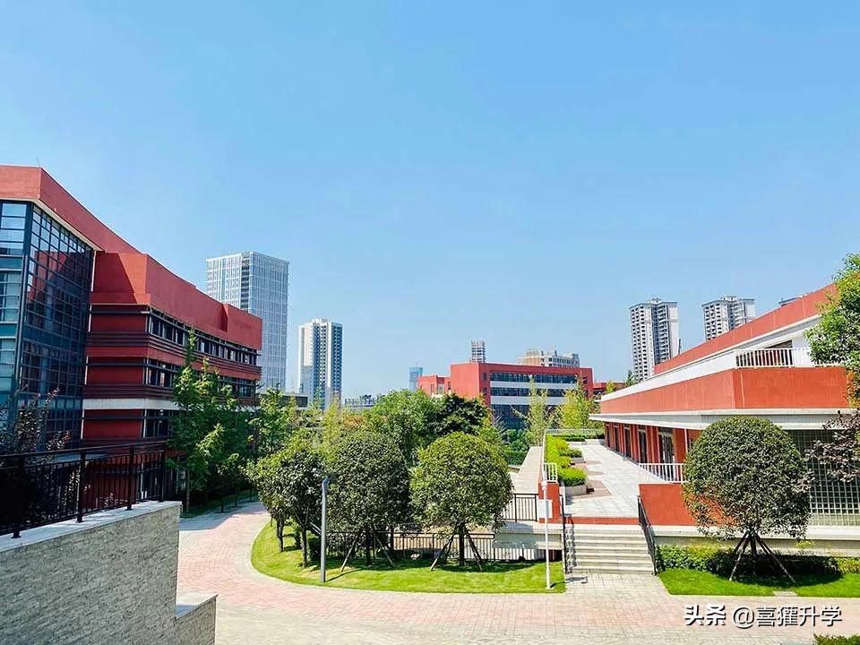 私立引領，新校擔當，“蓉e升學”天府新區優質小學大盤點