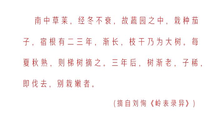 蔬菜知多少 | 茄子為什么會有“落蘇”這么好聽的別名？