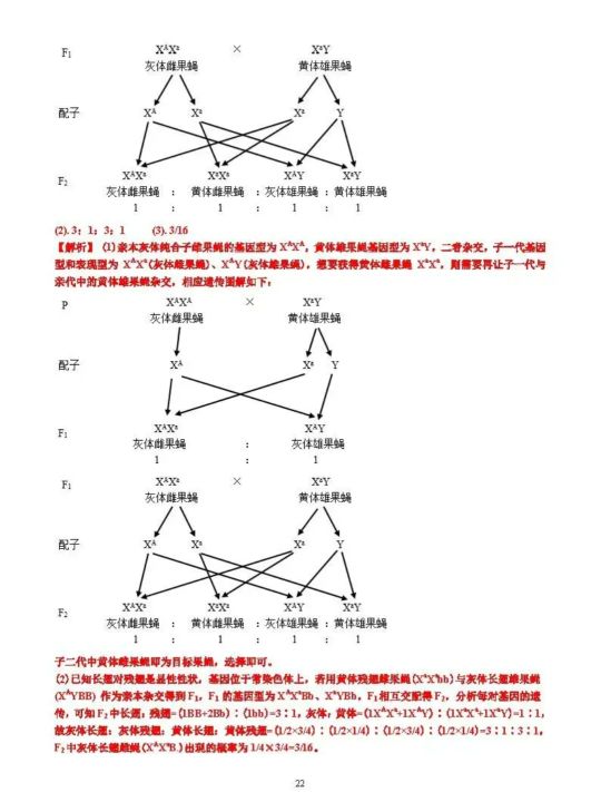 2021年高考理科綜合高考試卷及答案詳細解析