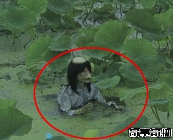 廣東水庫抓到一只女鬼 其實只是一只脫發的馬來熊