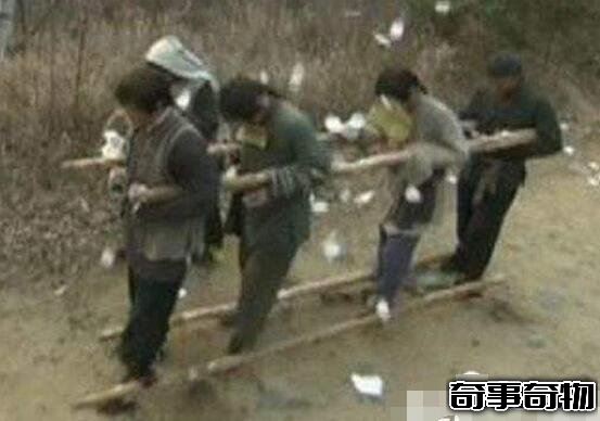 湖南僵尸村是真的嗎 湖南僵尸村圖片 腐爛僵尸喝血食肉