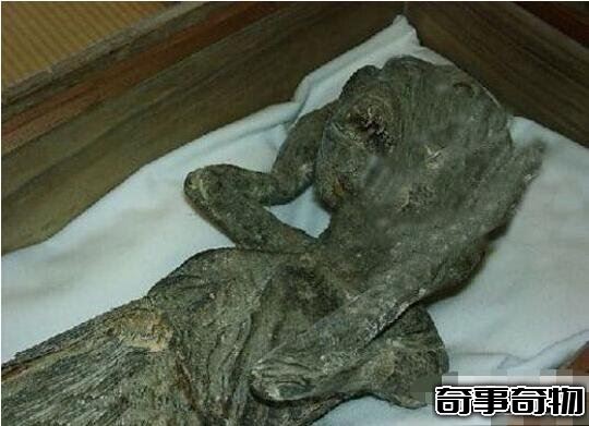 山東魚人真實圖片曝光 面目猙獰吃人不吐骨頭 詭異至極