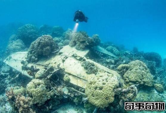 盤點全球十大驚悚地點 特魯克瀉湖橫尸遍野 成死人堆