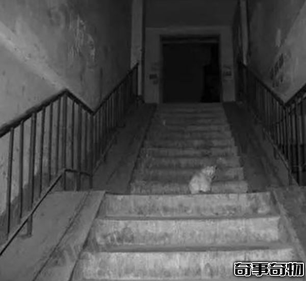 經典靈異故事 猛鬼公交不知你坐過沒 375路